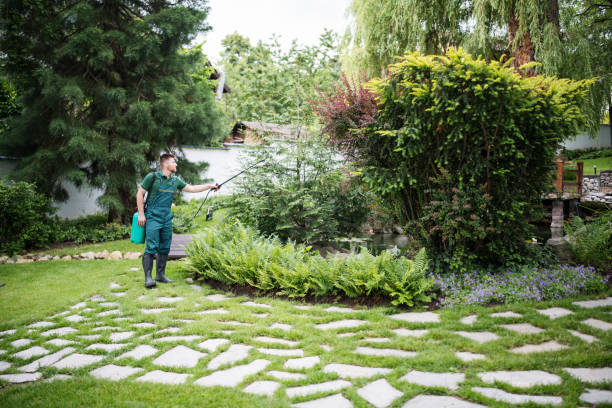 Best Wasp Removal Services  in Meadowood, PA
