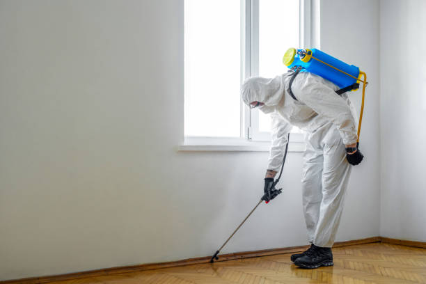 Best Exterminator Services  in Meadowood, PA